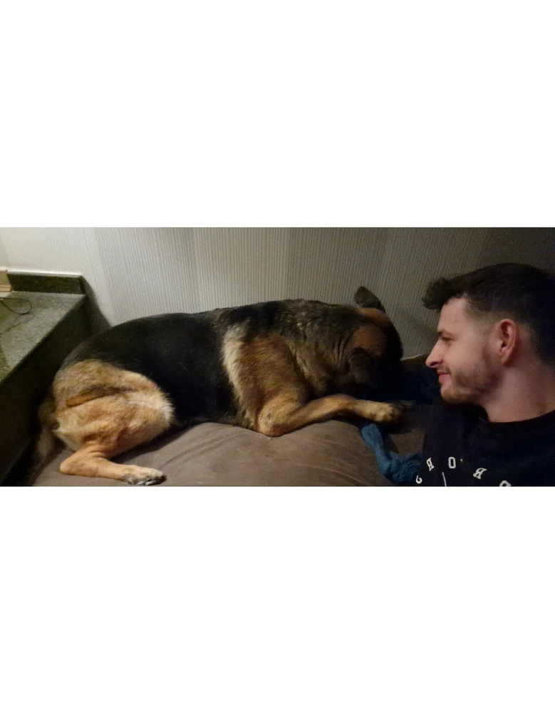 GIF geüpload door Michaël