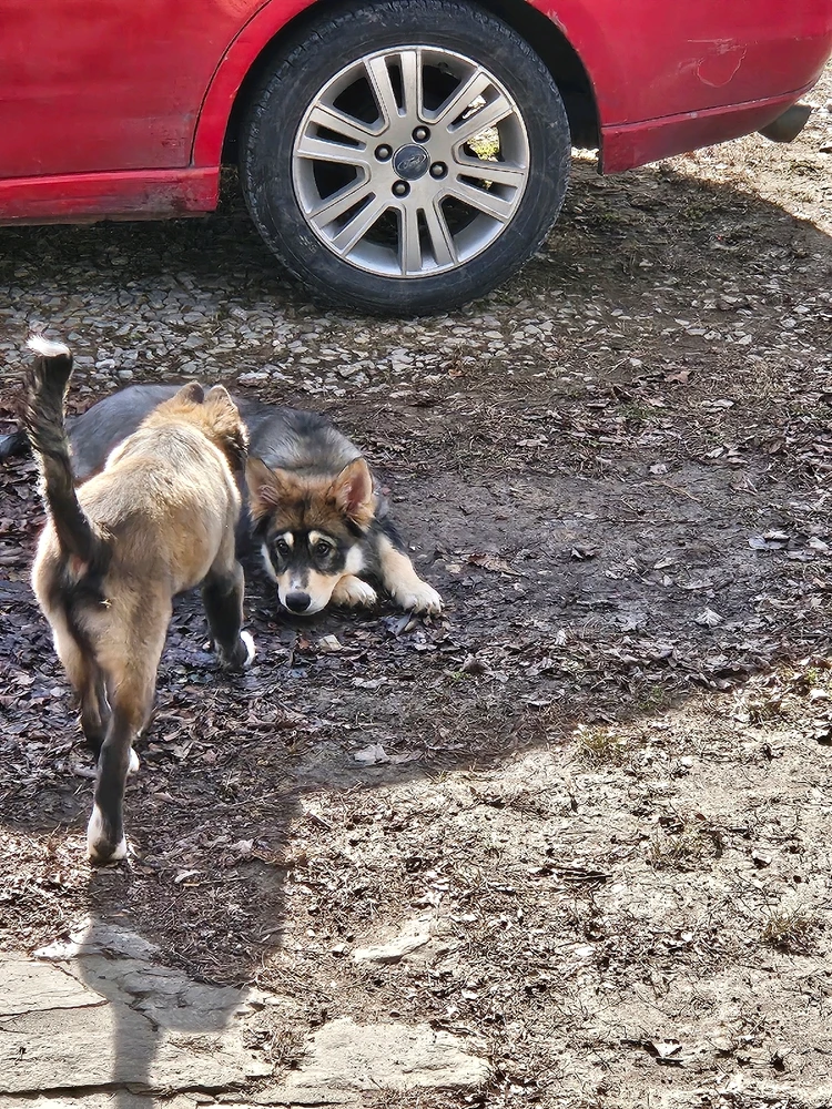 Image uploaded by Susan