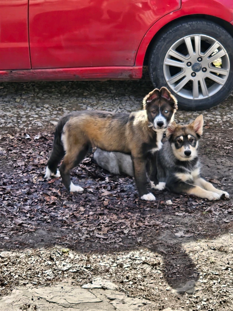 Image uploaded by Susan