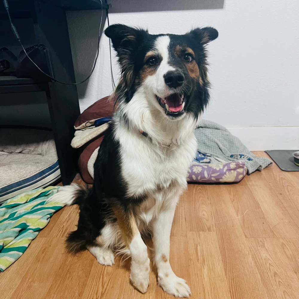 GIF uploaded by Danny G