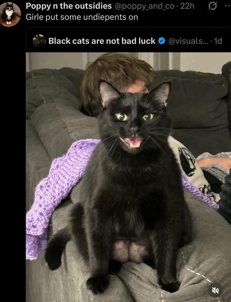 GIF uploaded by Kaissy