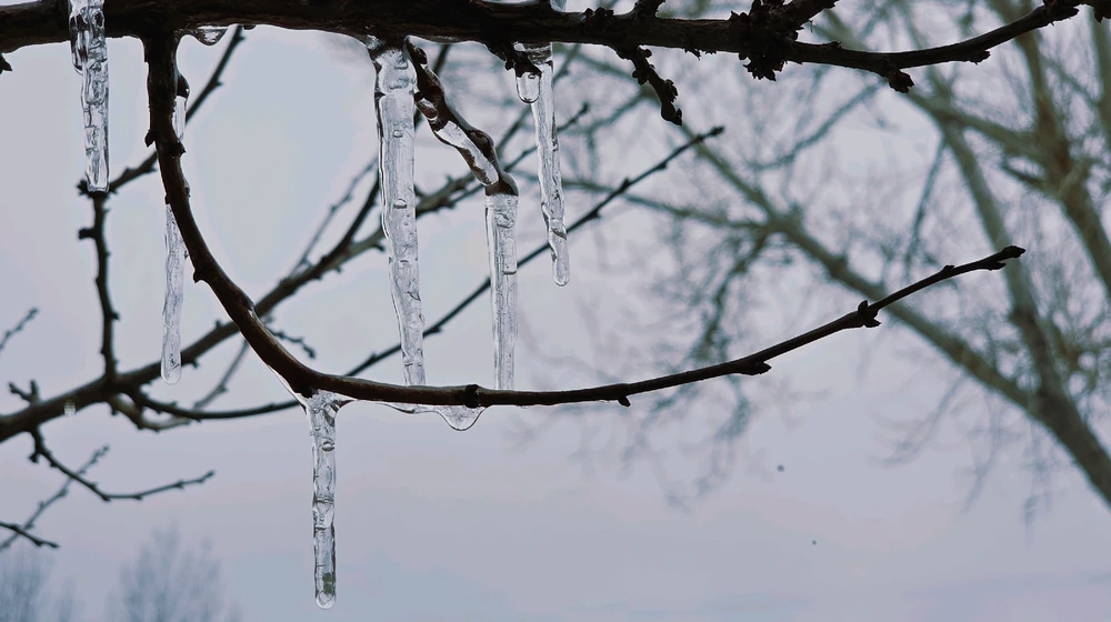 Image uploaded by Rick