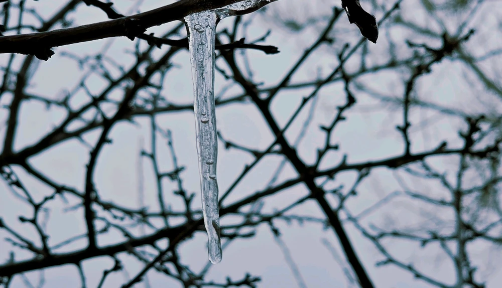 Image uploaded by Rick