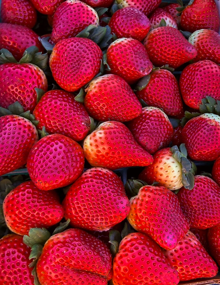 GIF uploaded by Guy-O-Blanco