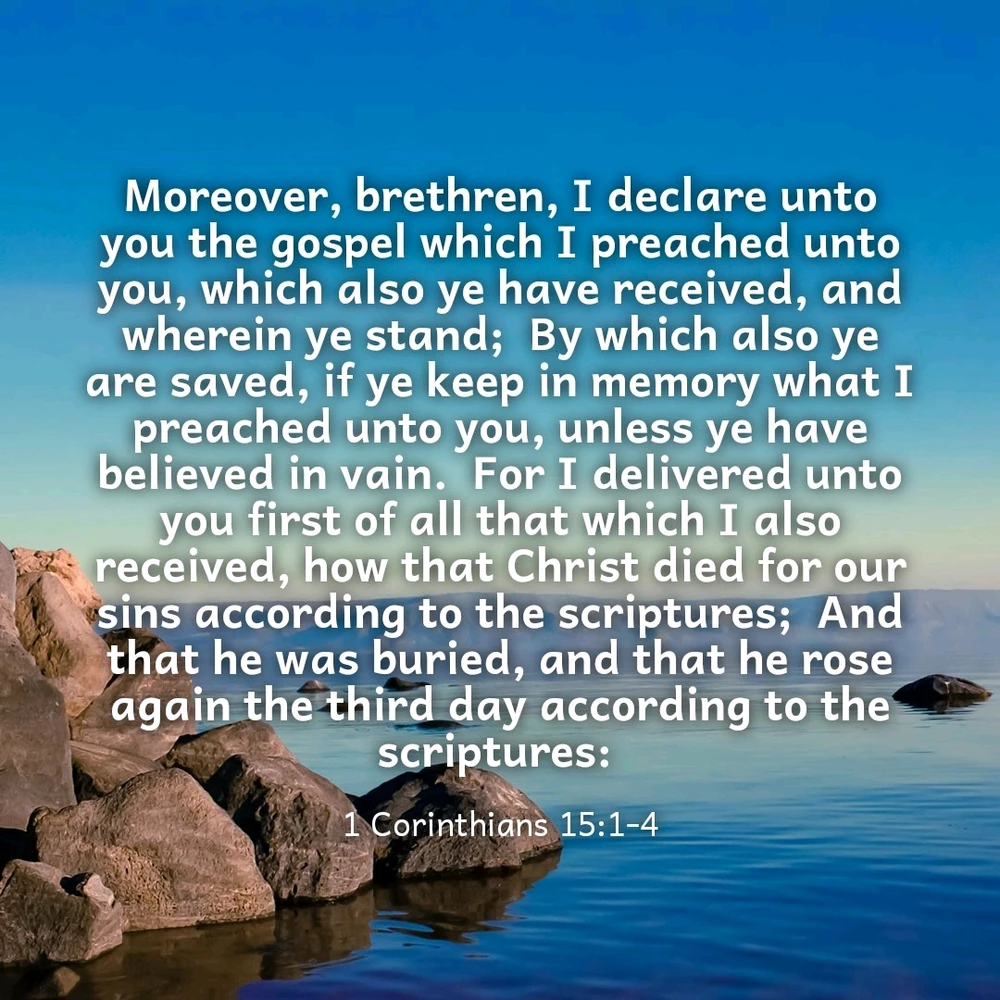 GIF uploaded by Larry