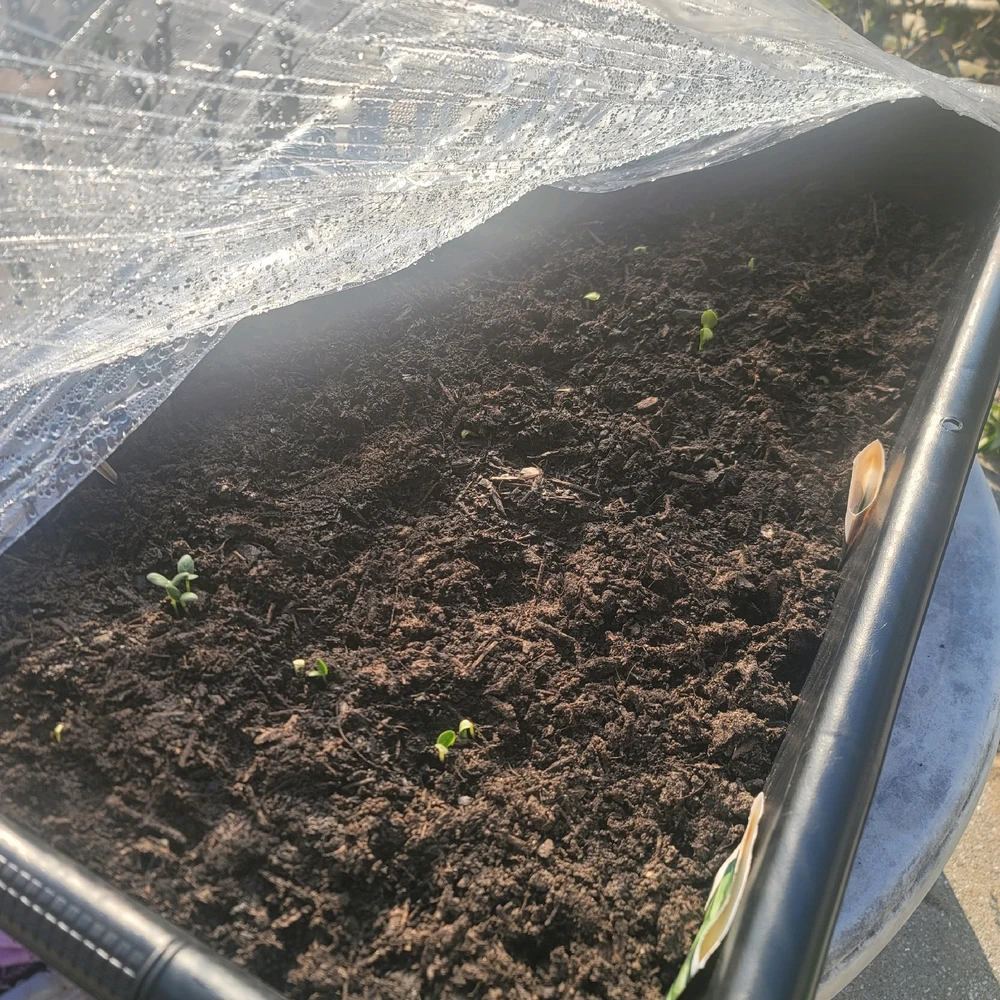 Image uploaded by Chase