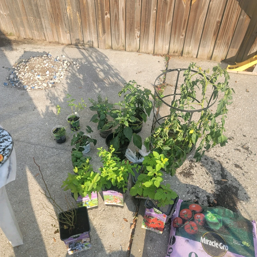 Image uploaded by Chase