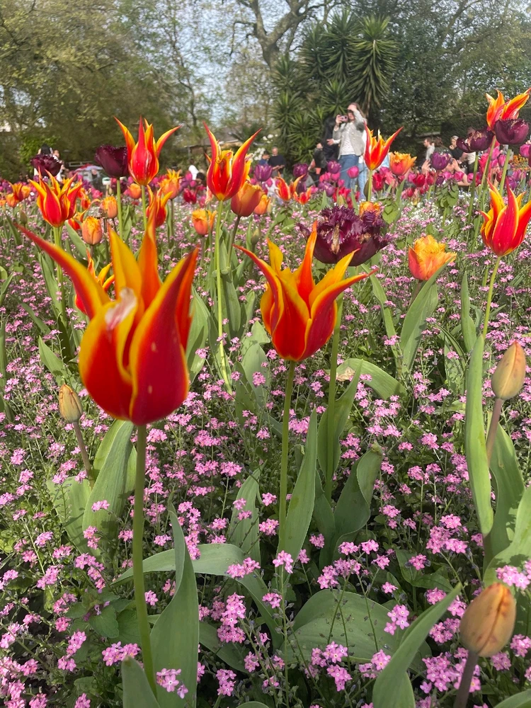 GIF uploaded by Sarah