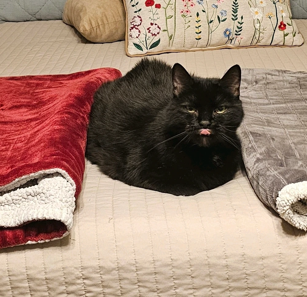 GIF uploaded by Christopher