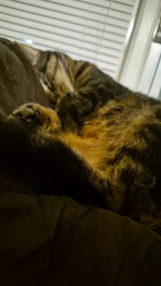 GIF uploaded by Austin