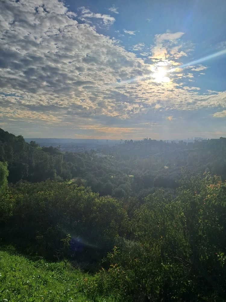 Image uploaded by Ash Valadez