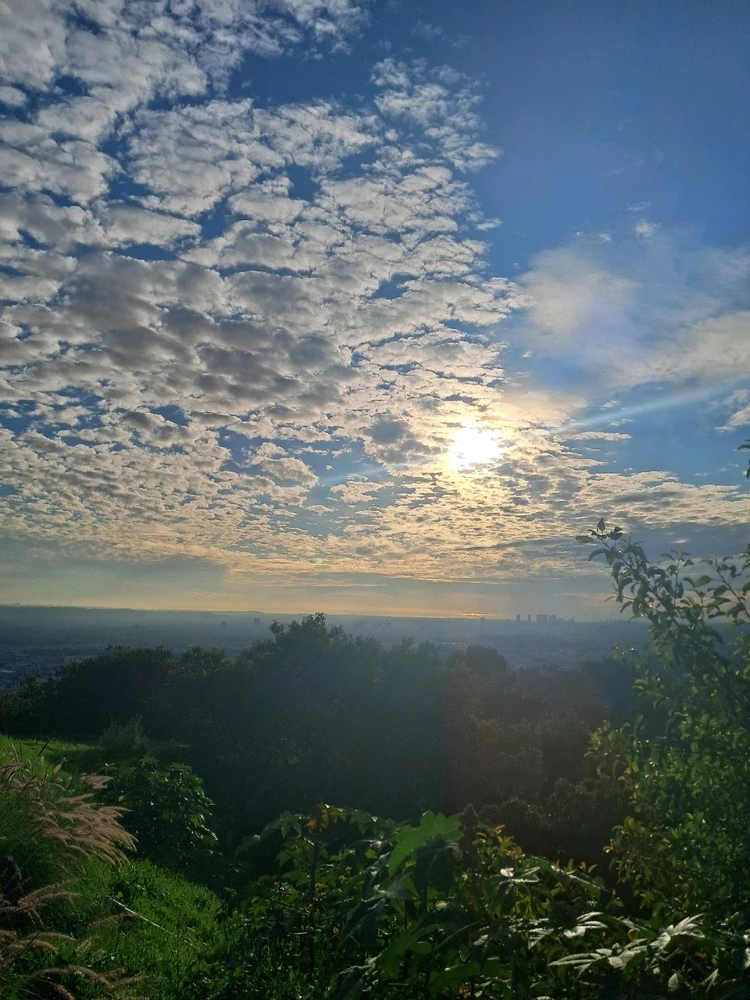 Image uploaded by Ash Valadez