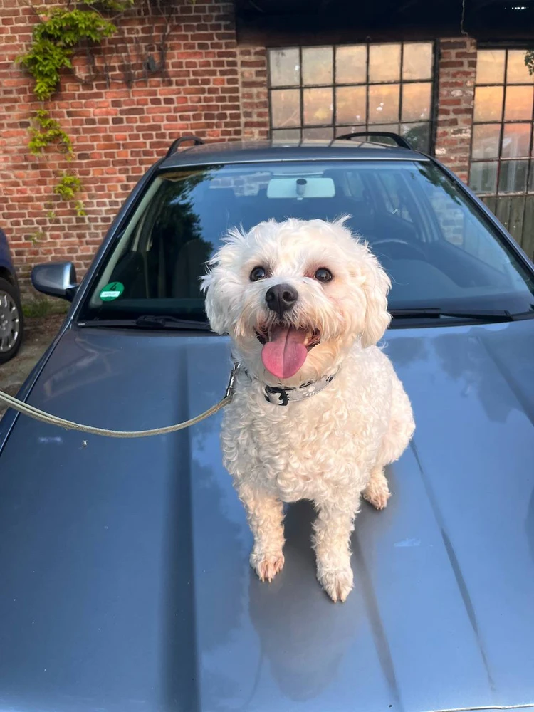 GIF uploaded by Pavel