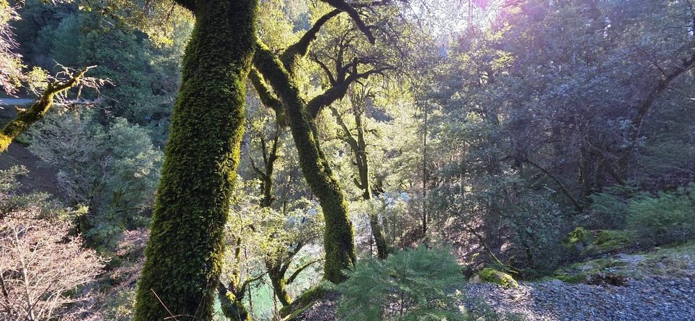 Image uploaded by Someone