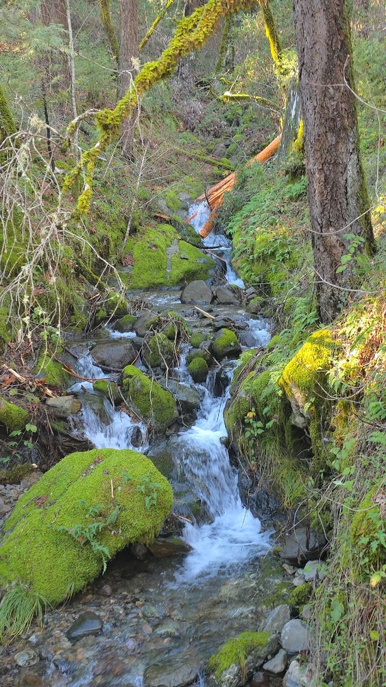 Image uploaded by Someone