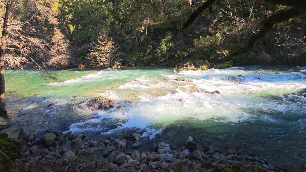 Image uploaded by Someone