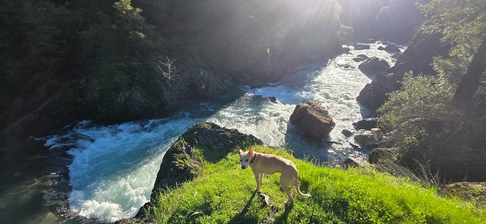 Image uploaded by Someone