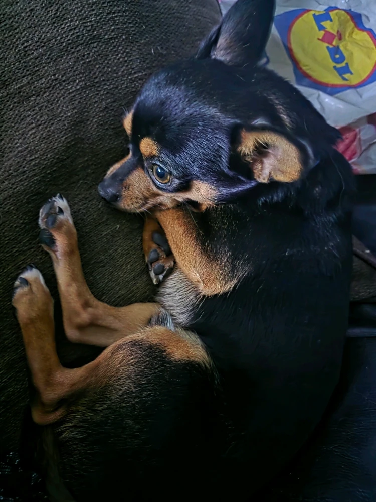 GIF uploaded by DezzieDee