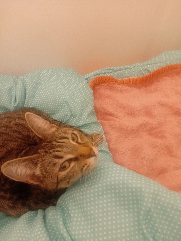 GIF uploaded by Laura