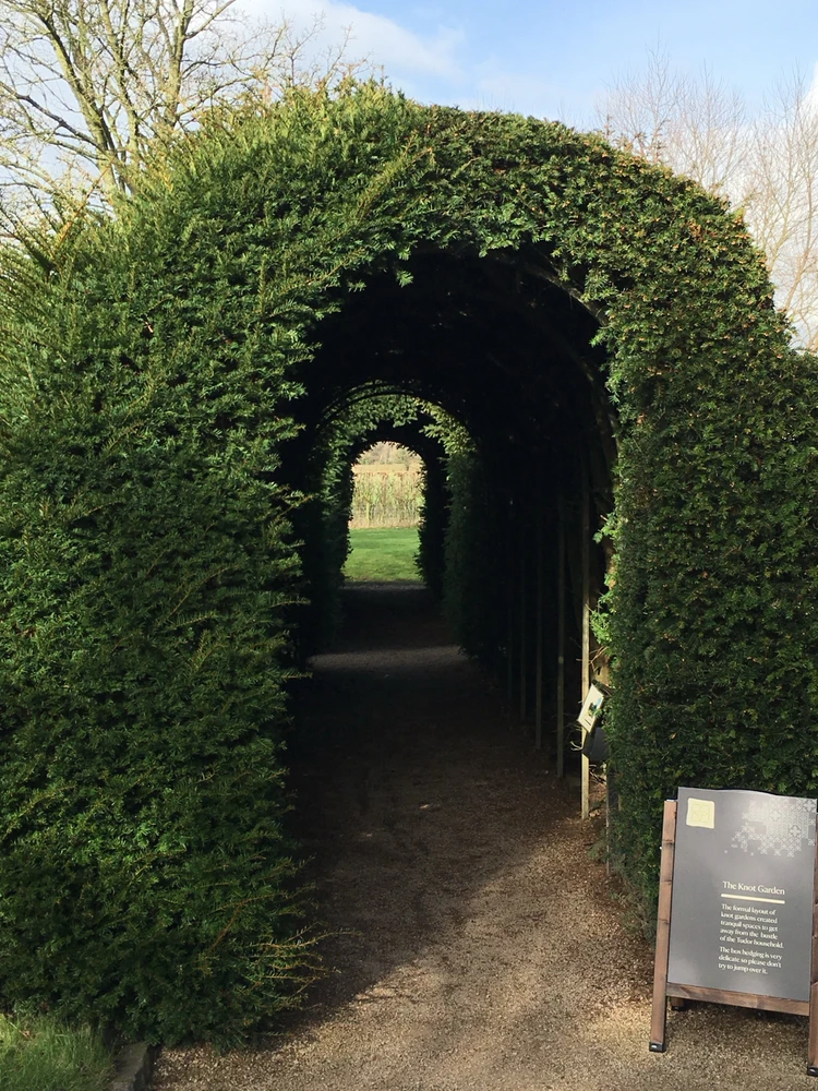 Image uploaded by Robert