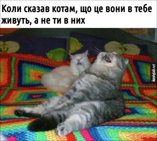 Гіфку завантажив Black Mirror (◔‿◔)