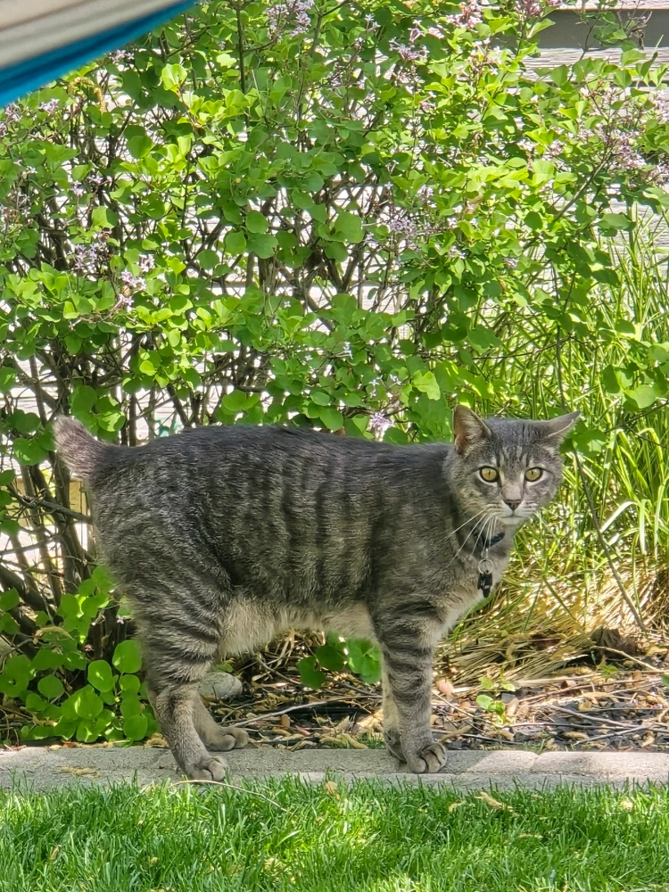 Image uploaded by William