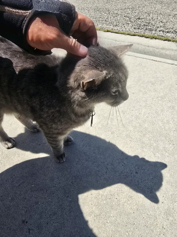 Image uploaded by William