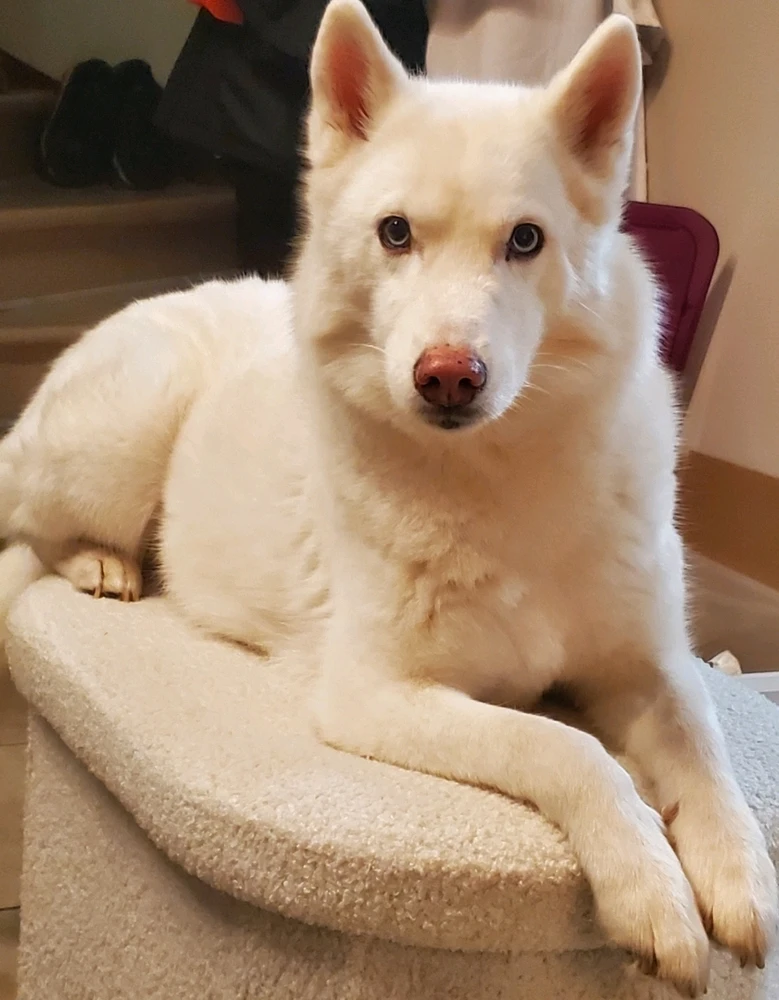 GIF ajouté par Ethan