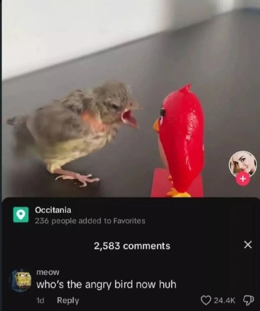 GIF uploaded by Alfredo