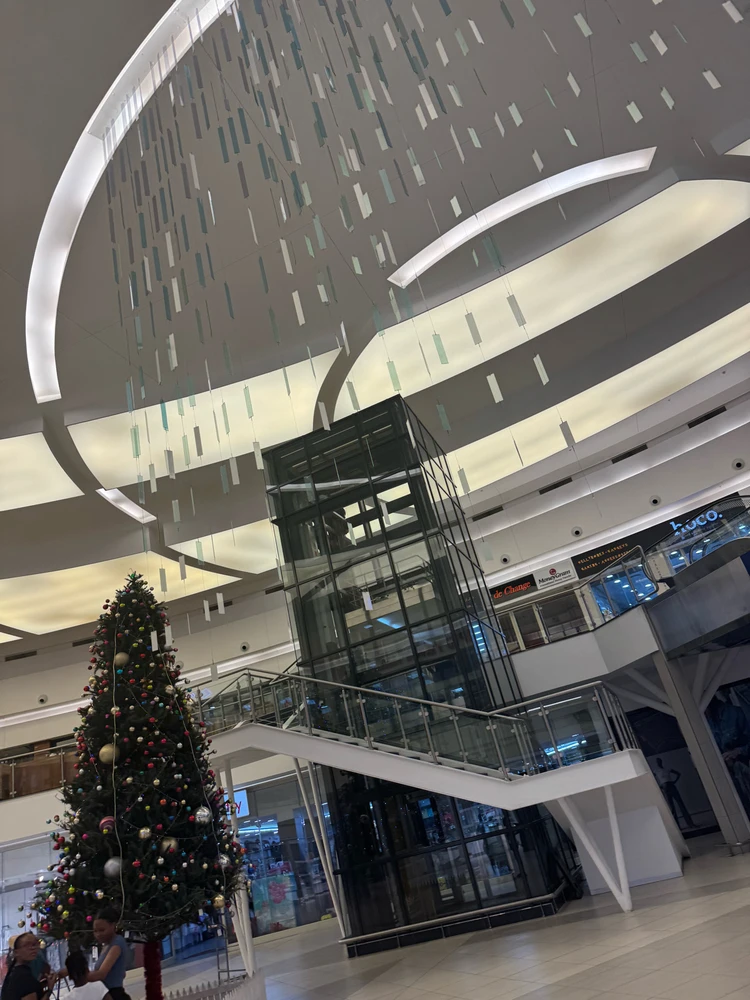 Image uploaded by Audrey