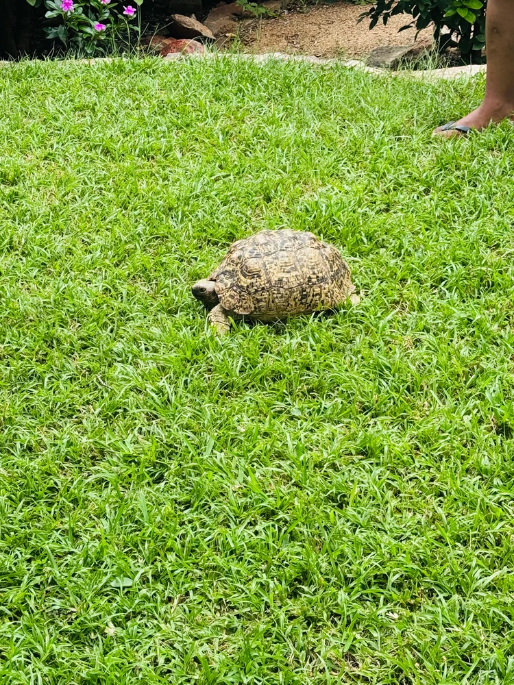 Image uploaded by Audrey