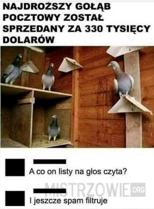 GIF dodany przez Paweł