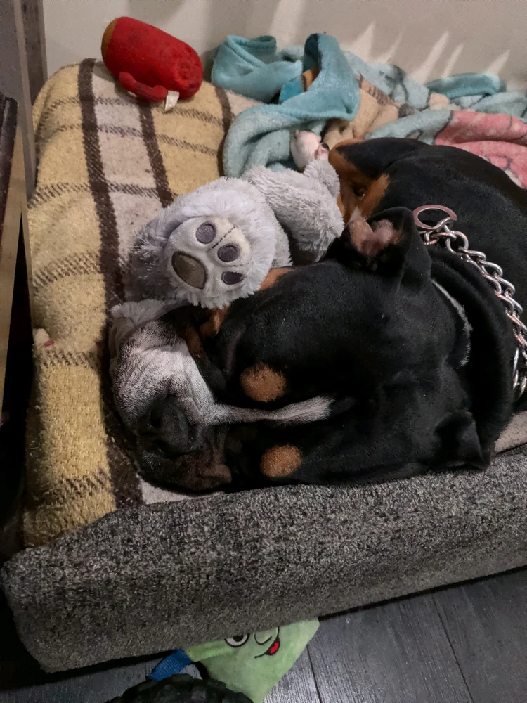 GIF uploaded by Andrew