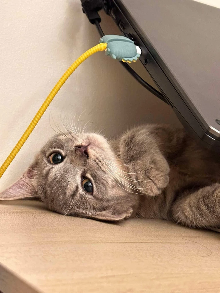 GIF uploaded by ELLE DHIE