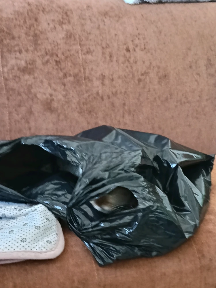 Image uploaded by Maria