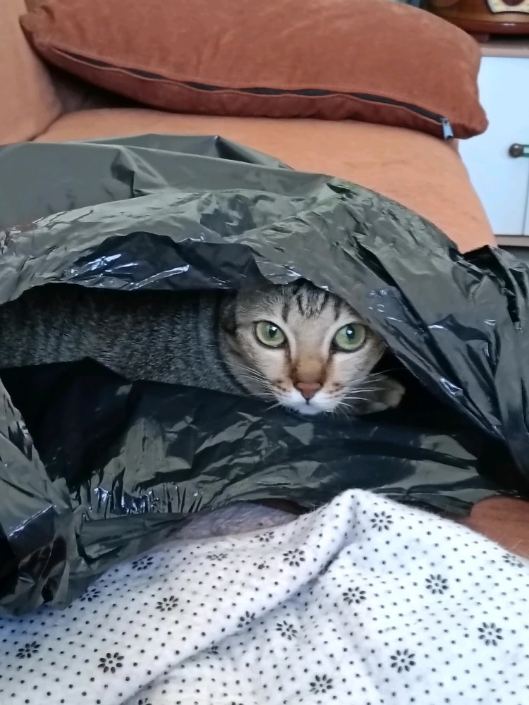 Image uploaded by Maria