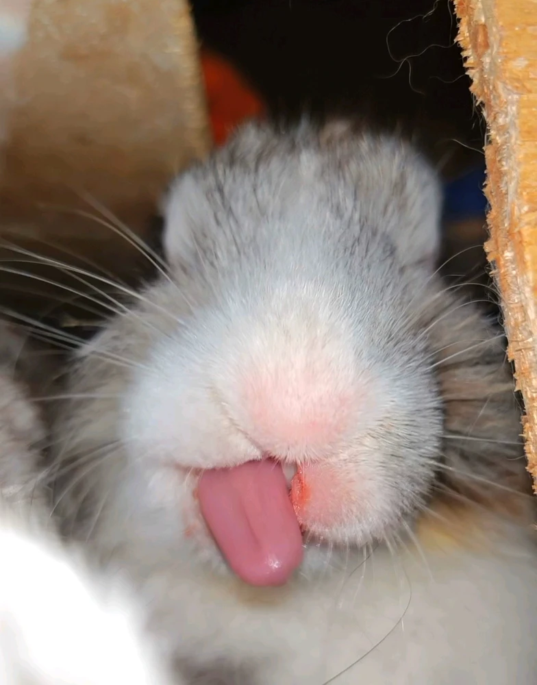 GIF uploaded by shortgirl