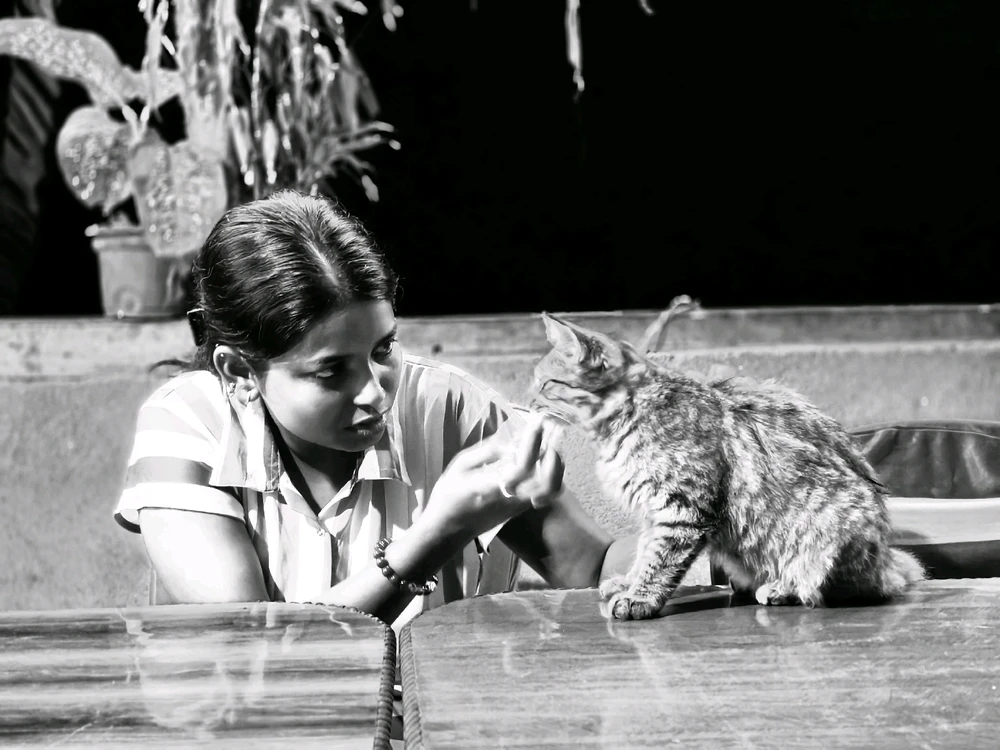 GIF uploaded by Payal Das