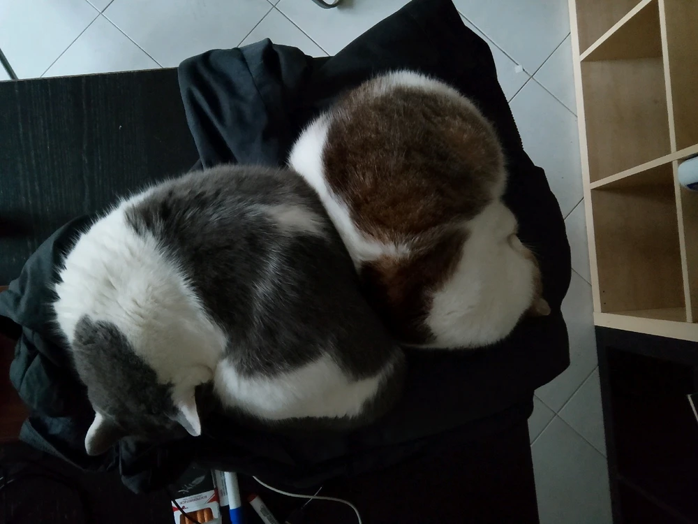 GIF uploaded by Mr Nice