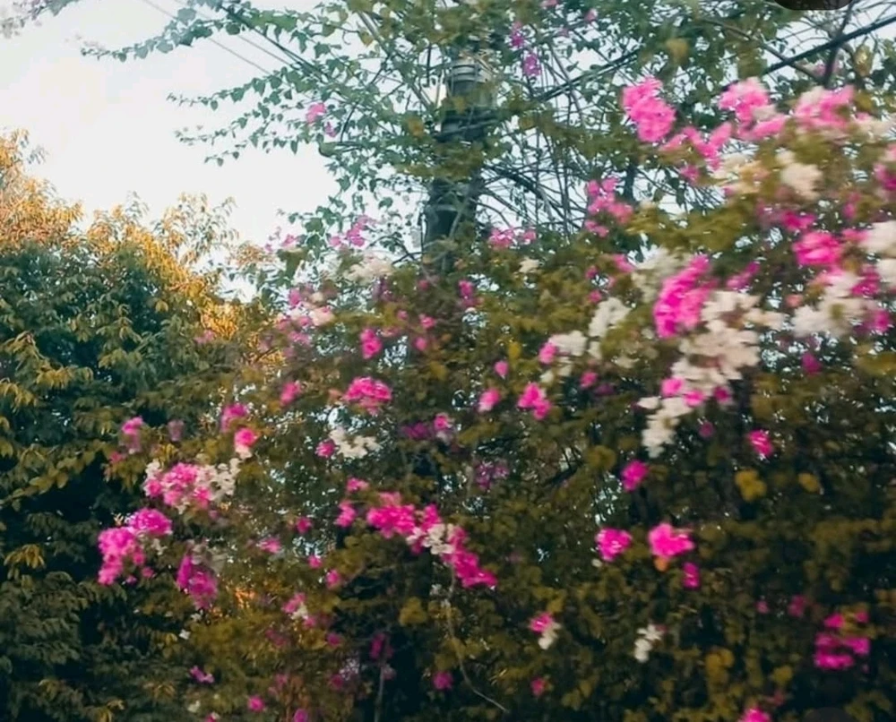 GIF uploaded by Krishna