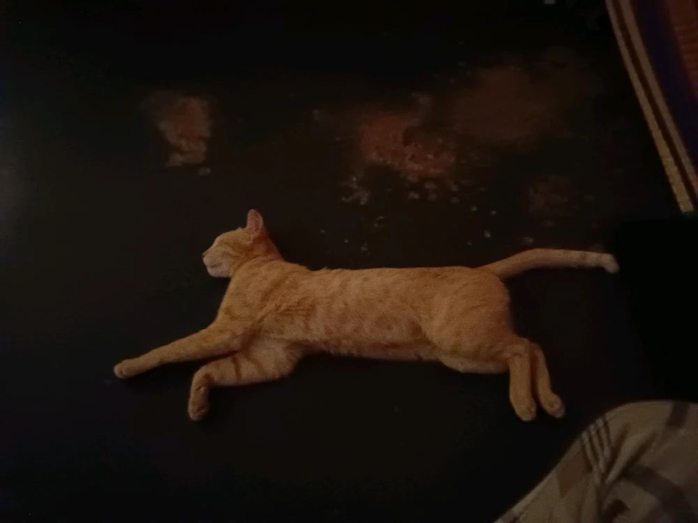 GIF uploaded by លїㅜнїខㅐ