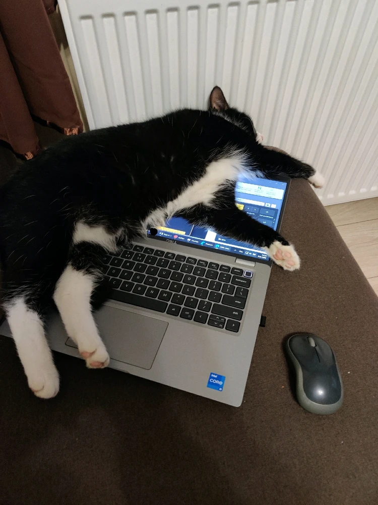 GIF dodany przez PAWEŁ