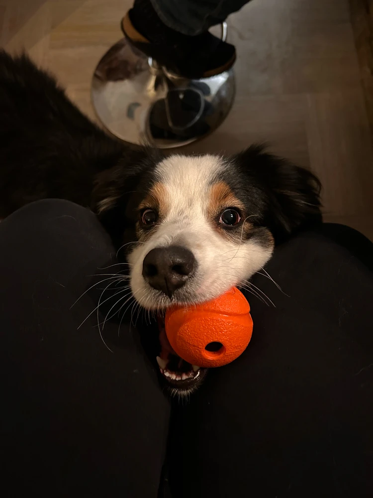 Image uploaded by Ruby