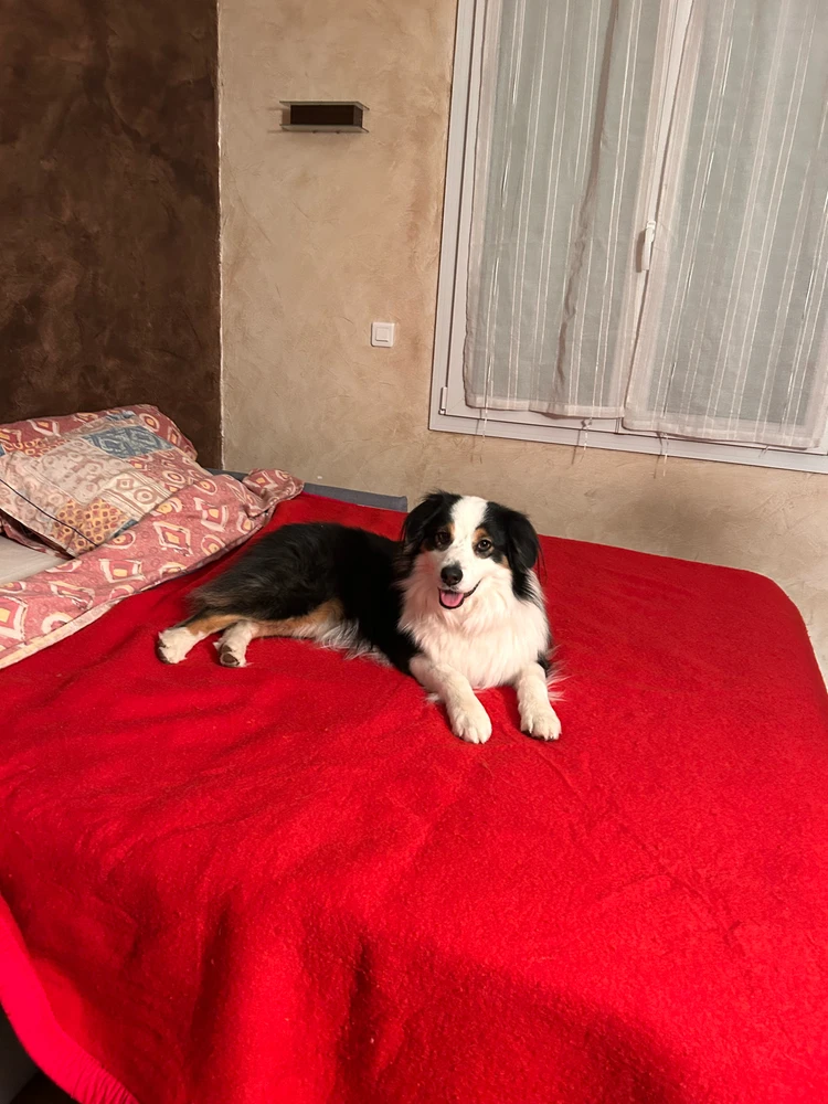 Image uploaded by Ruby