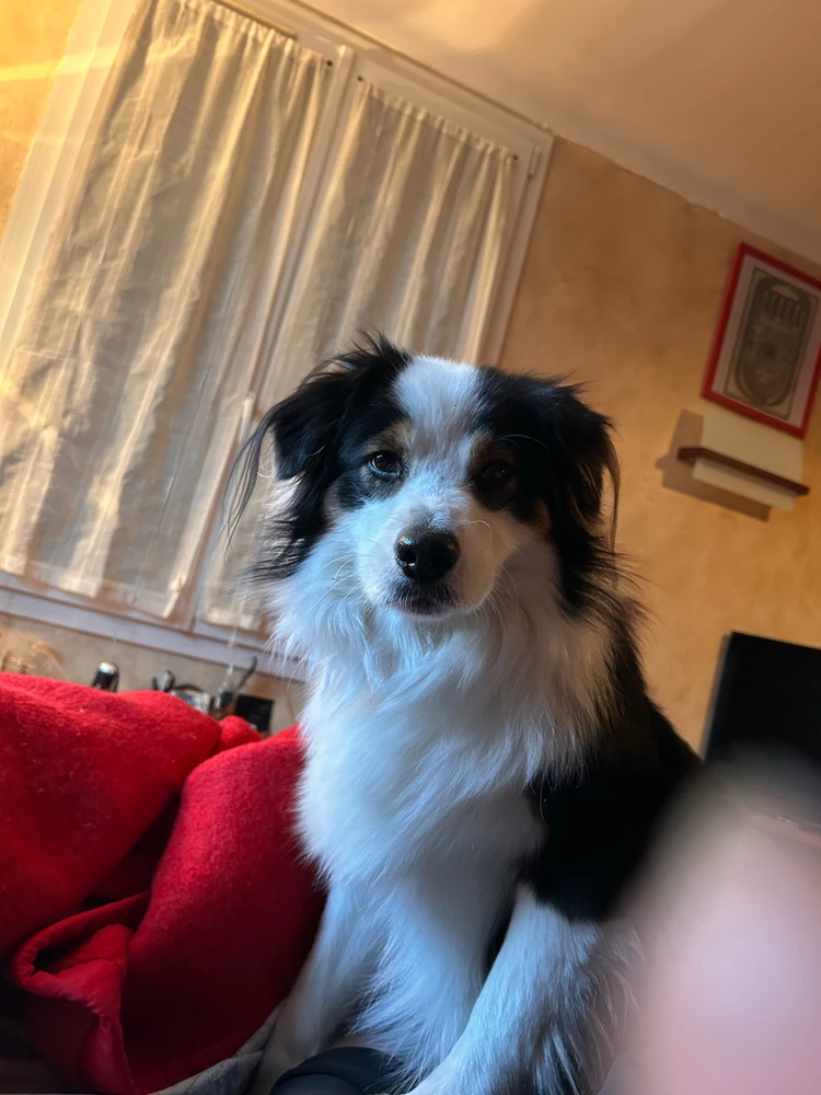 Image uploaded by Ruby