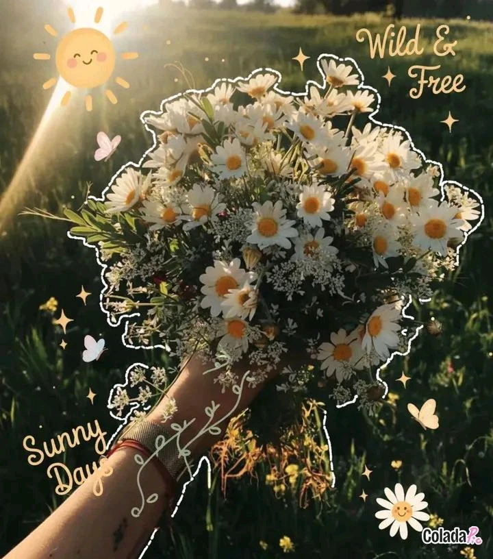 Image uploaded by 💜J💜o💜e💜y💜