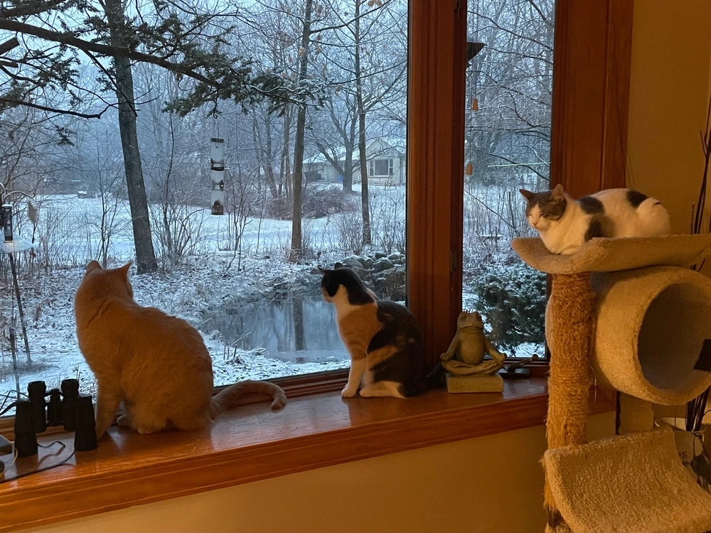 GIF uploaded by Robbie