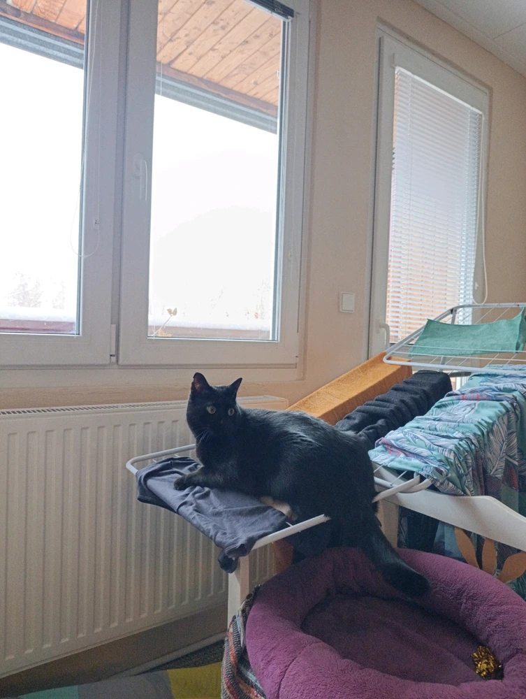 GIF nahrál ⭕⭕ Andrea