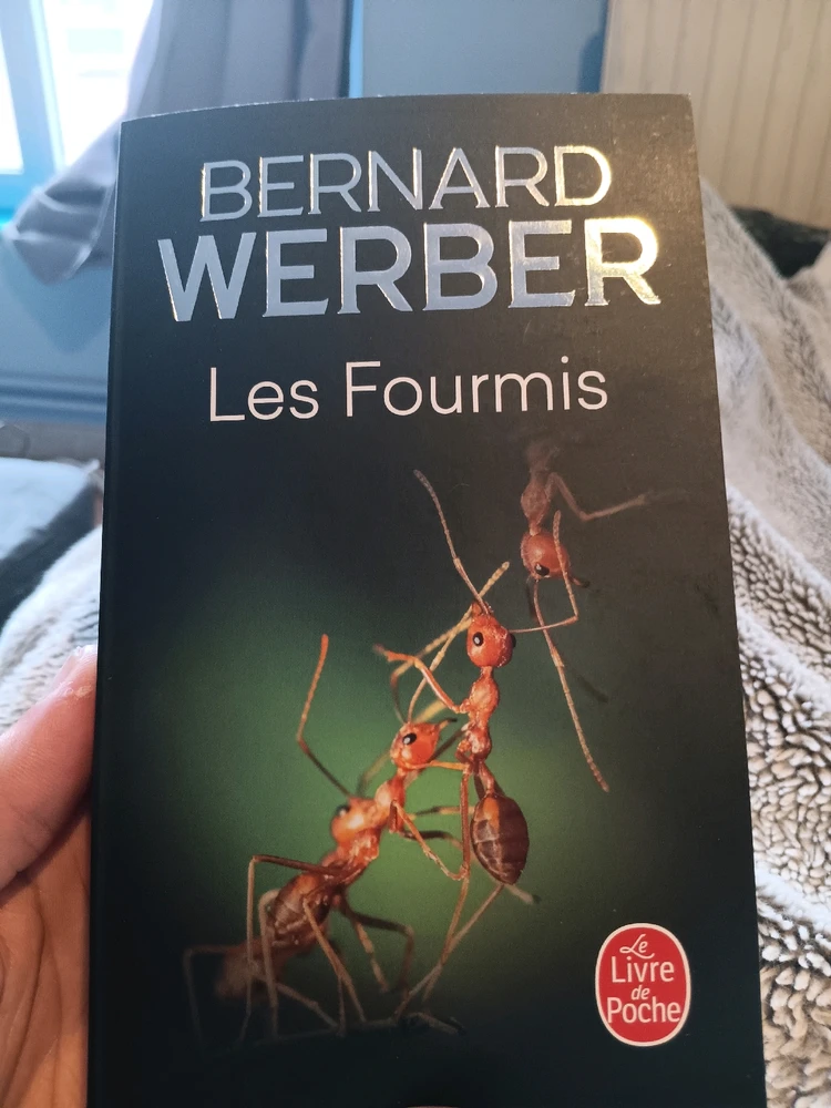 Image ajoutée par Jonathan