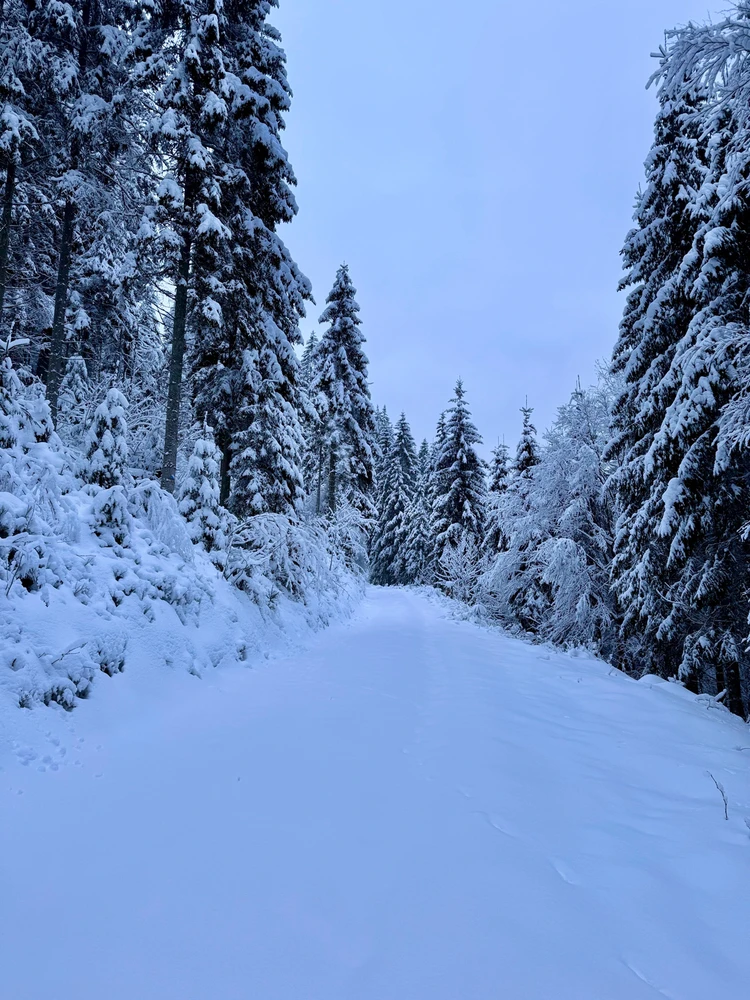 GIF uploaded by Ricarda